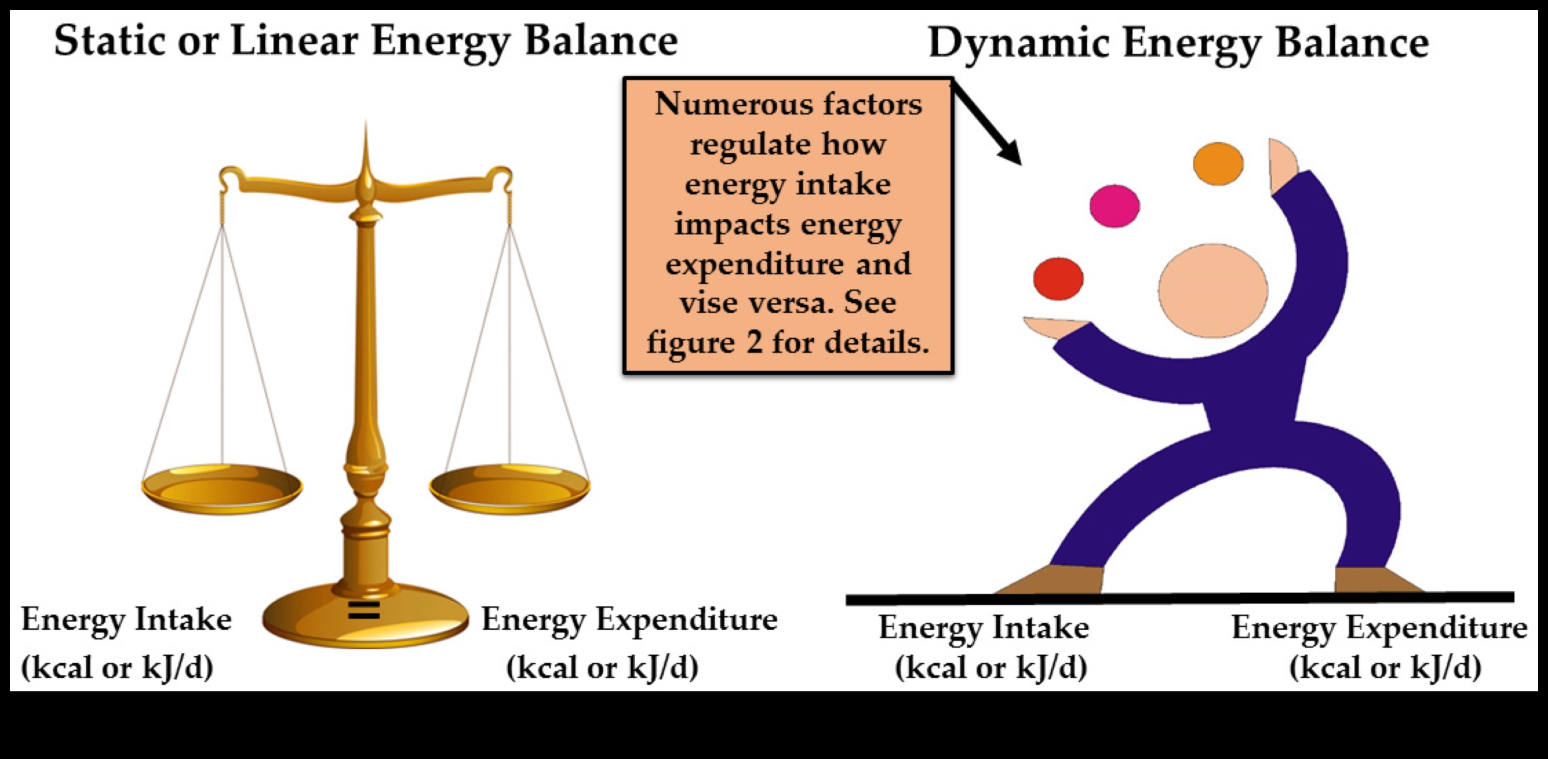 The Nutrient Quotient Μια Ισορροπημένη Προσέγγιση στη Διατροφική Υγεία 2 The Nutrient Quotient: Εξισορρόπηση της κλίμακας ανεπάρκειας