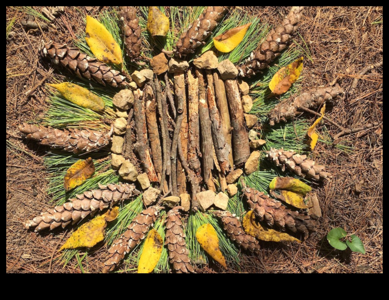 Environmental Art Escapades: Συνεργασίες Φύσης και Γλυπτικής