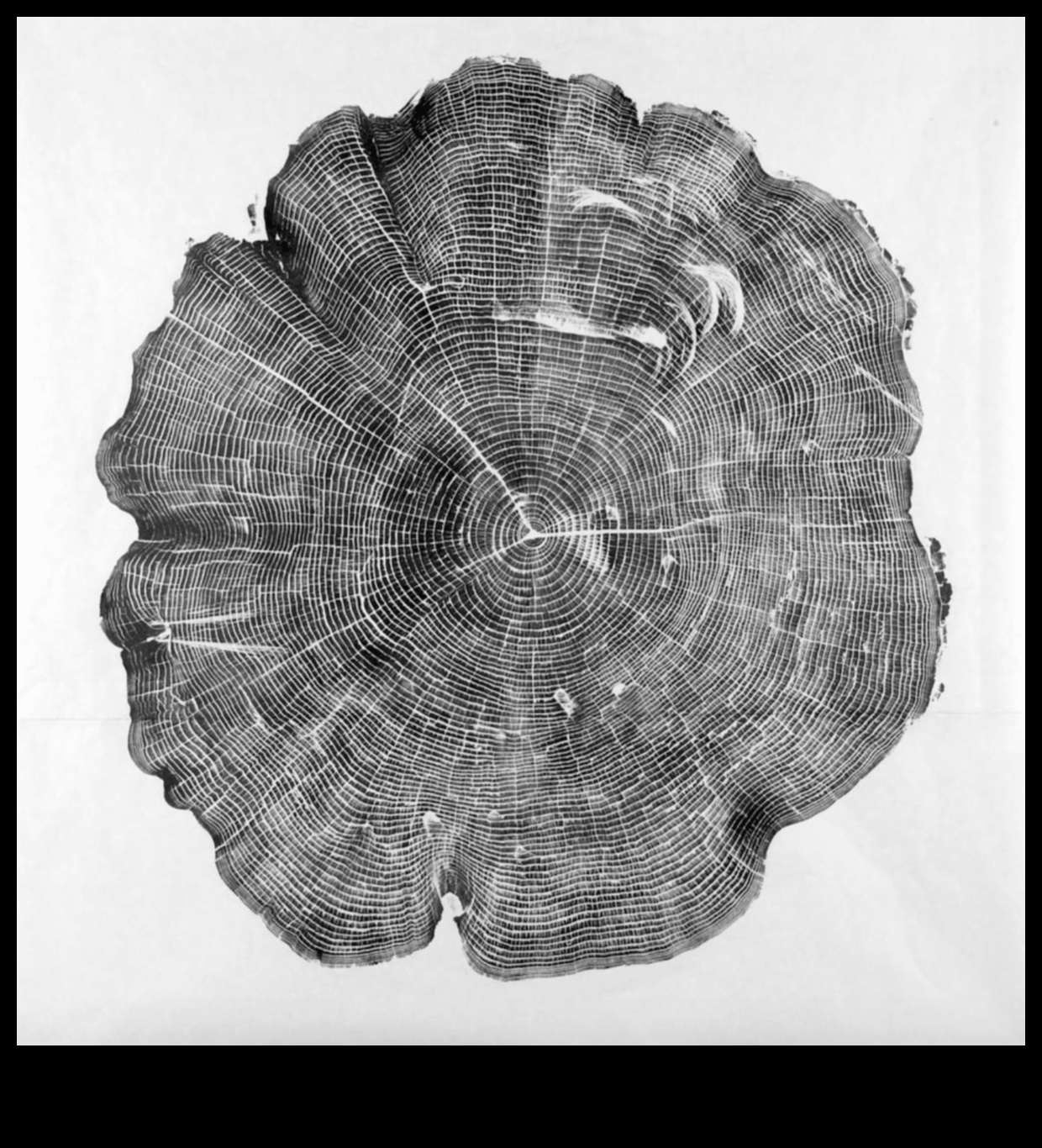 Environmental Art Escapades: Συνεργασίες Φύσης και Γλυπτικής