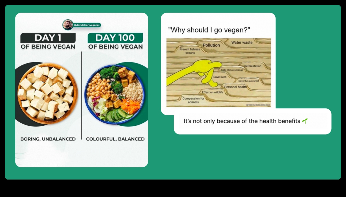 Βραχυπρόθεσμη δίαιτα Μια γρήγορη λύση ή μια μακροπρόθεσμη λύση 4 Η τέχνη της βραχυπρόθεσμης δίαιτας: Θέτοντας ρεαλιστικές προσδοκίες