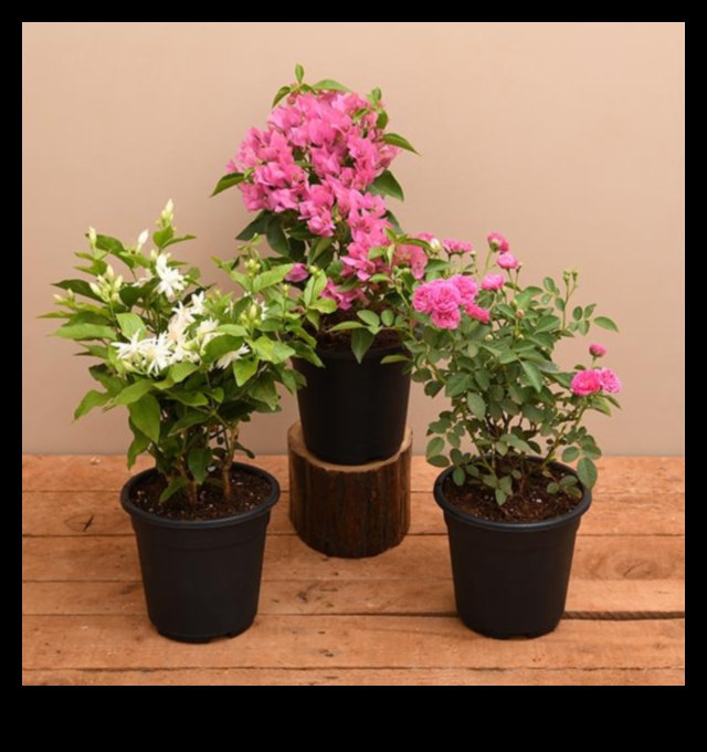 Blossom Boost Floral Nursery Elegance για το μοντέρνο σπίτι 2 Blossom Boost: Floral Nursery Elegance