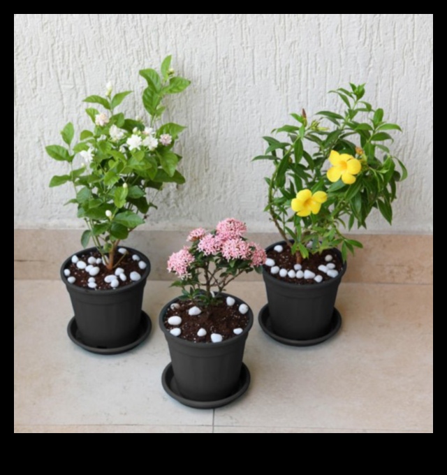 Blossom Boost Floral Nursery Elegance για το μοντέρνο σπίτι 4 Blossom Boost: Floral Nursery Elegance