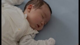 Cozy Cradles: Crafting the Perfect Nap Spot