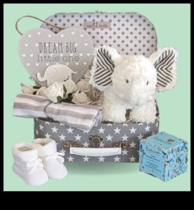 Little Wonders: Showering Love with Perfect Baby Gifts