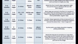 Naptime Nectar Ένας κινητήρια δύναμη για τη παράγοντας της τέλειας μηχανικά ύπνου για το παιδί σας 6 Naptime Nectar: Δημιουργία της τέλειας ρουτίνας ύπνου για το μωρό