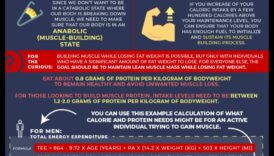 Protein Muscle Building 101 1 Δίαιτες υψηλής περιεκτικότητας σε πρωτεΐνες και μυϊκή ανάπτυξη: Μια συνεργιστική προσέγγιση
