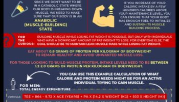 Δίαιτες υψηλής περιεκτικότητας σε πρωτεΐνες και μυϊκή ανάπτυξη: Μια συνεργιστική προσέγγιση