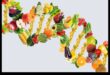Genes and Gourmet: A Culinary Journey in Nutrigenomics