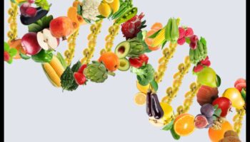 Genes and Gourmet: A Culinary Journey in Nutrigenomics