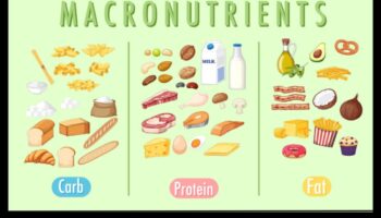 Ζωή πλούσια σε θρεπτικά συστατικά: Βελτιώστε την ευεξία σας με μακροθρεπτικά συστατικά