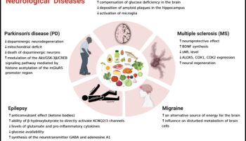 Η επίδραση της κετογονικής δίαιτας στις αυτοάνοσες διαταραχές