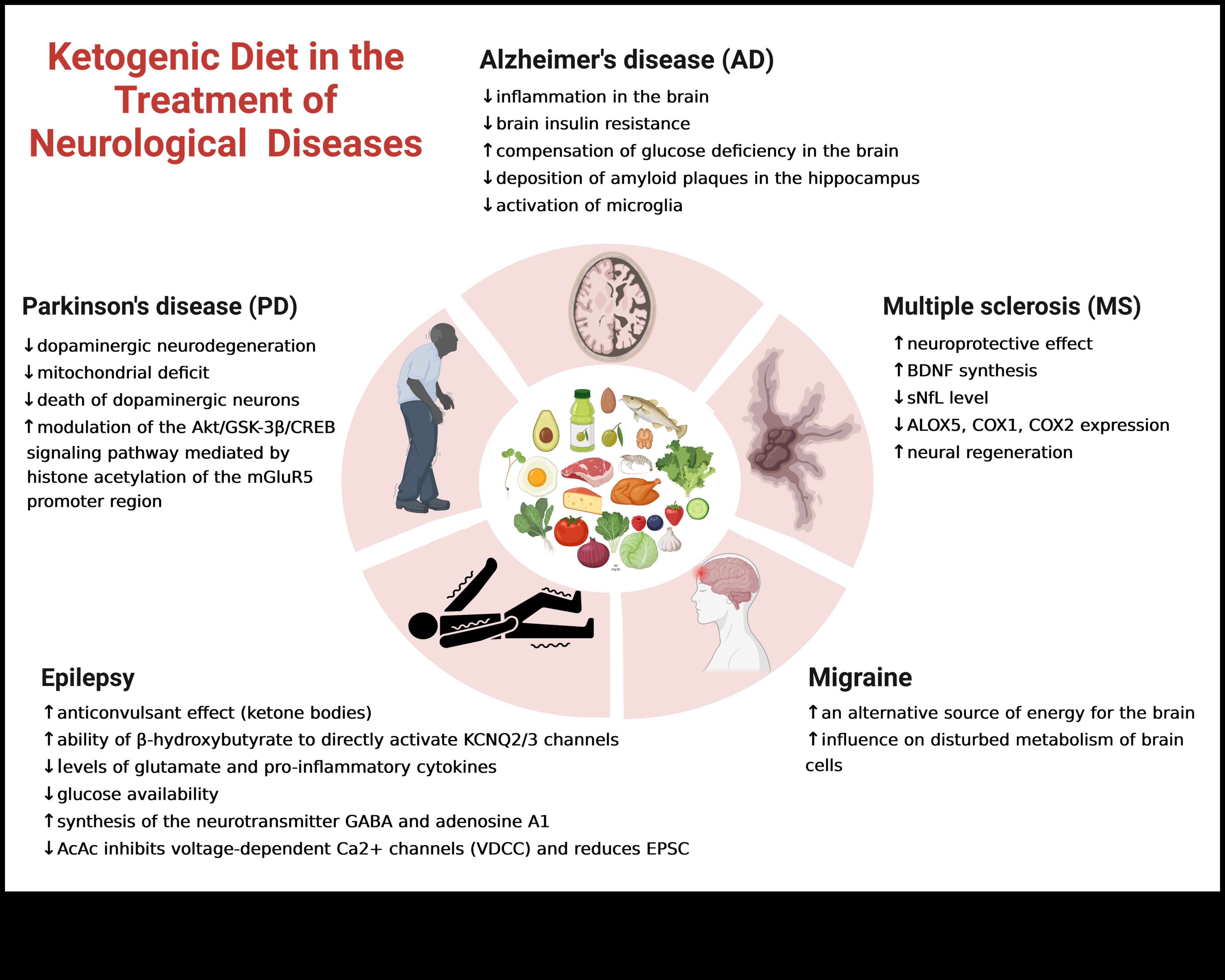 Η επίδραση της κετογονικής δίαιτας στις αυτοάνοσες διαταραχές