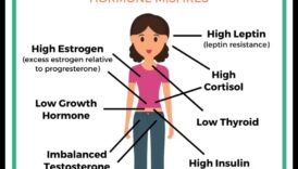 Η σύνδεση μεταξύ ορμονικών ανισορροπιών και δίαιτας αύξησης βάρους