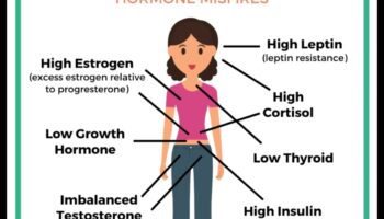 Η σύνδεση μεταξύ ορμονικών ανισορροπιών και δίαιτας αύξησης βάρους