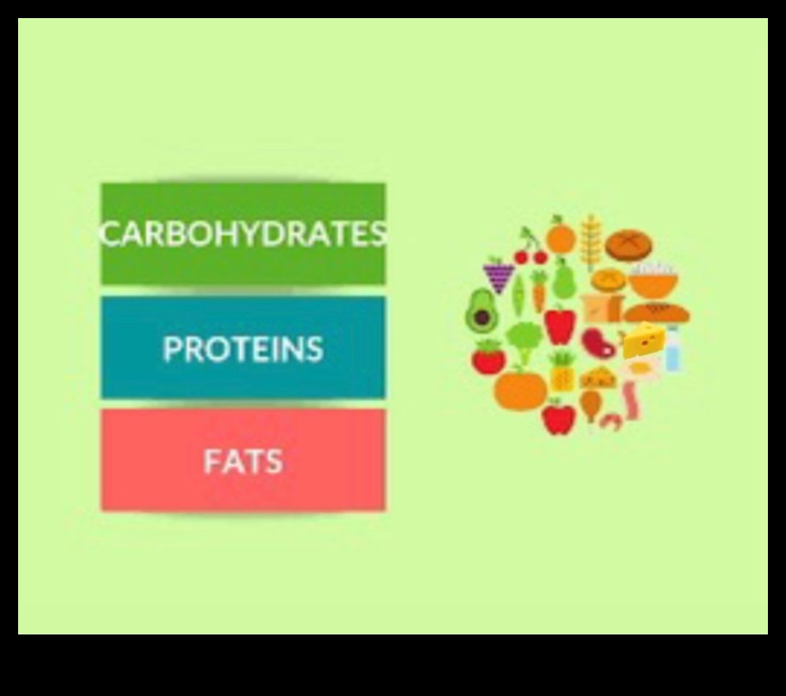 Συμφωνία Υδατάνθρακες: Εναρμόνιση Ενέργειας και Ευημερίας
