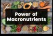 Τροφοδοτώντας το δυναμικό σας: Ο ρόλος των μακροθρεπτικών συστατικών στην υγεία