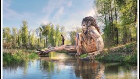 Φύση και Γλυπτική Μια Δημιουργική Ένωση 5 Environmental Art Escapades: Συνεργασίες Φύσης και Γλυπτικής